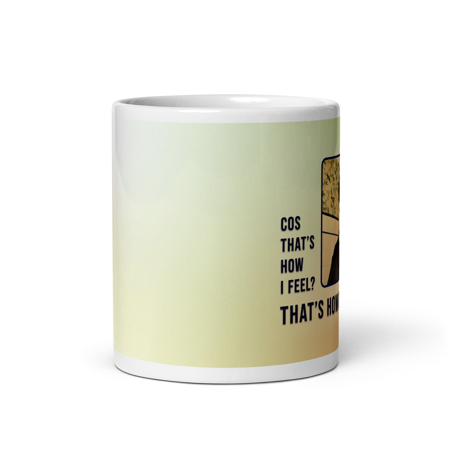 COS THAT'S HOW I FEEL mug